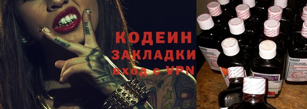 молекула духа Няндома