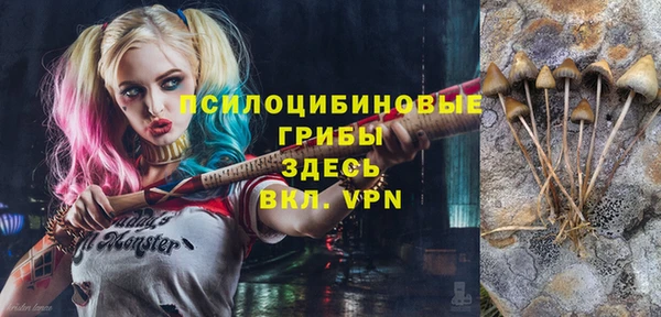 молекула духа Няндома