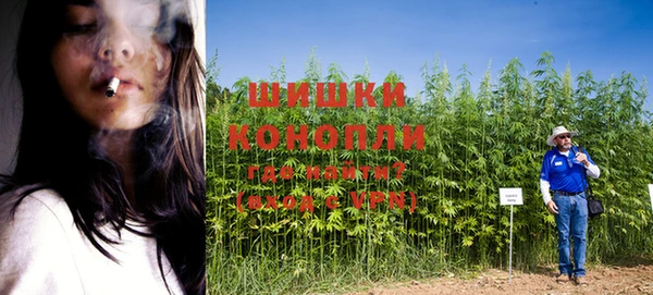 PSILOCYBIN Новозыбков