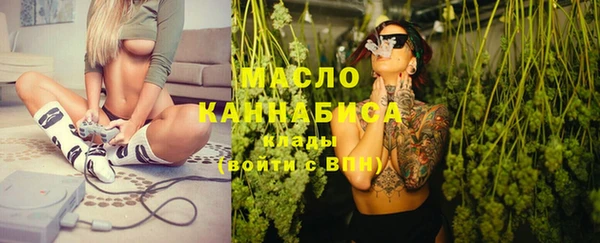 молекула духа Няндома