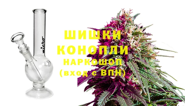 PSILOCYBIN Новозыбков