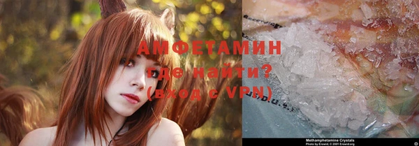 молекула духа Няндома