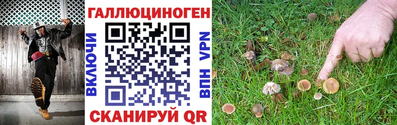 Псилоцибиновые грибы Magic Shrooms  Воронеж 