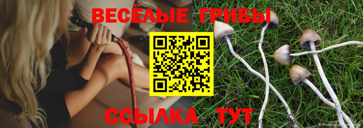 Псилоцибиновые грибы Cubensis Воронеж